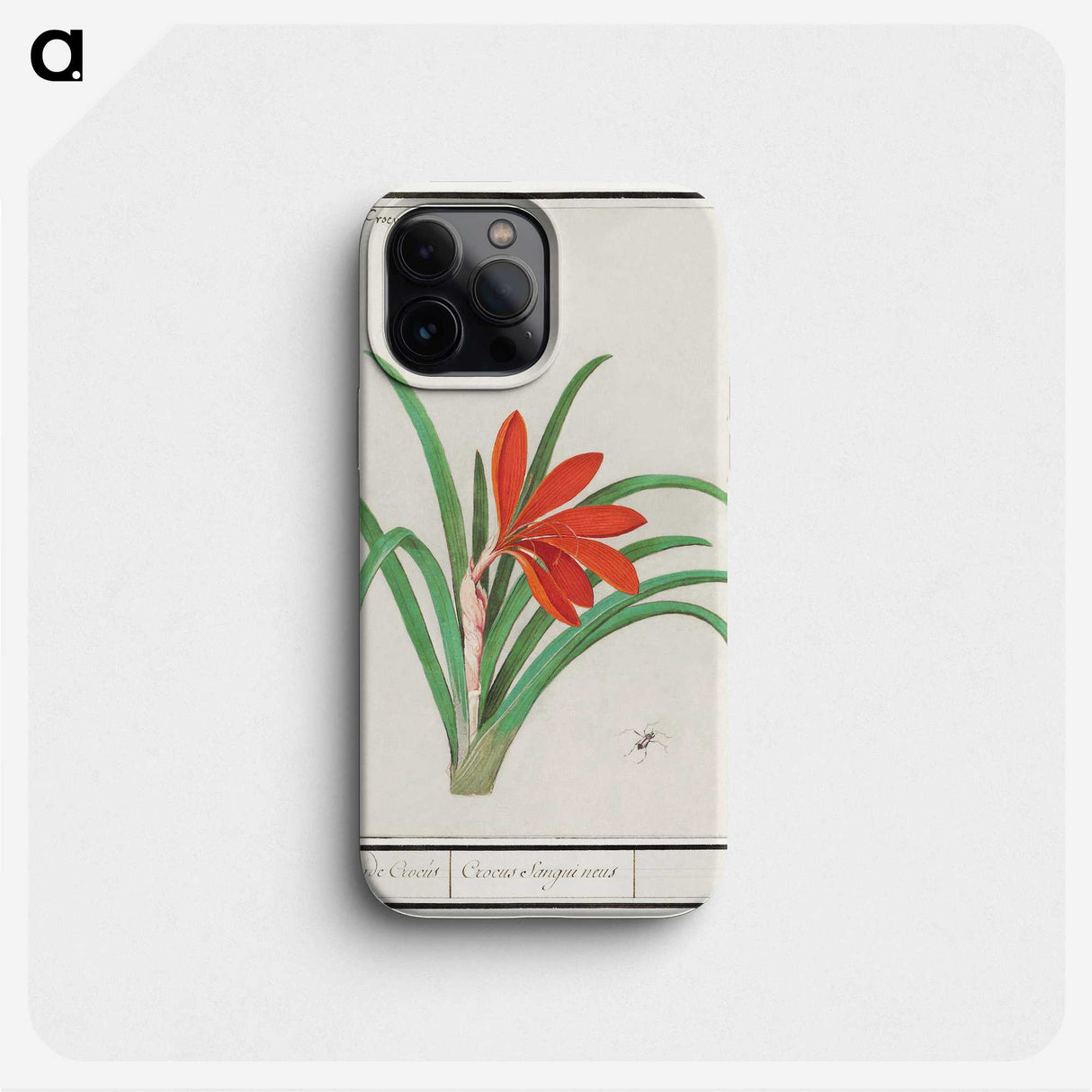 2-58_Anselmus-Boetius-de-Boodt_phone