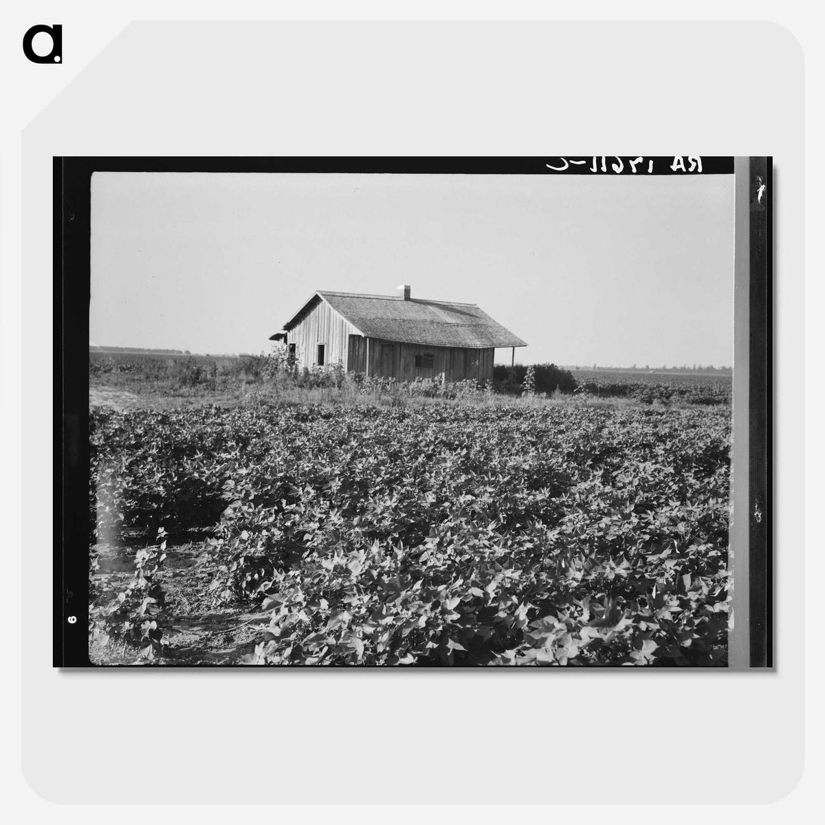 2-58_Dorothea-Lange_picture-crop