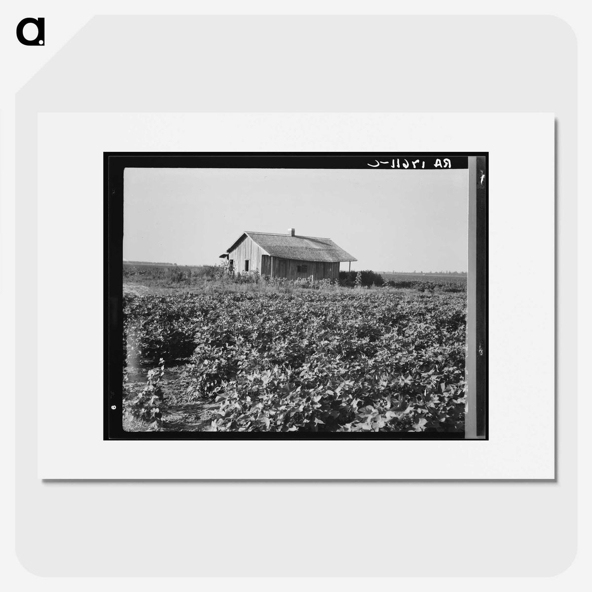 2-58_Dorothea-Lange_picture