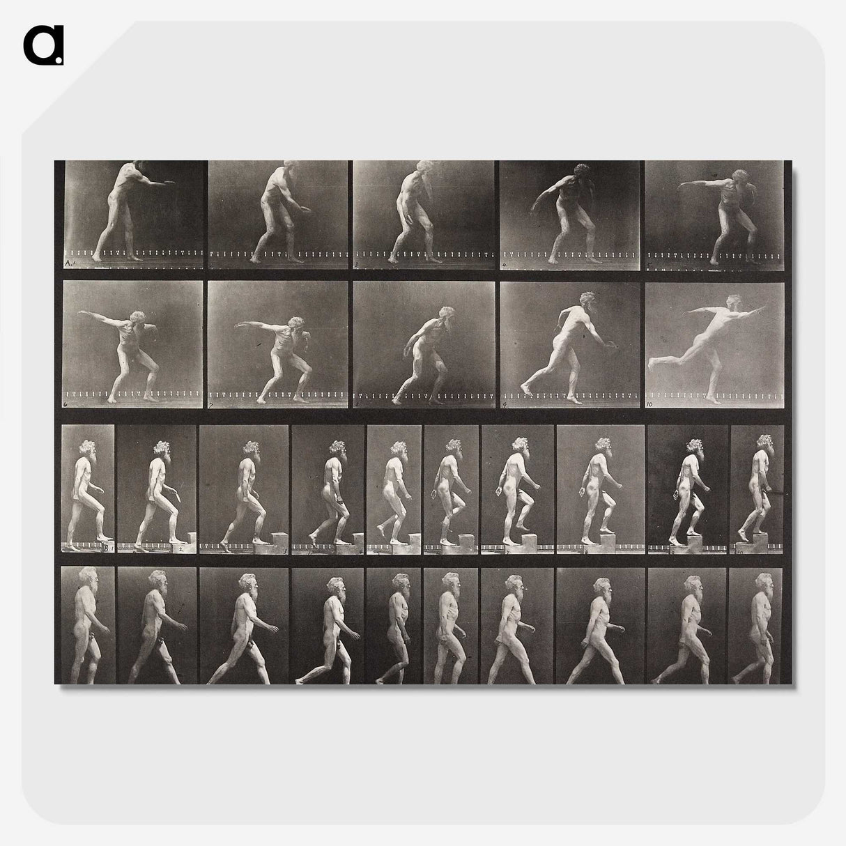 2-58_Eadweard-Muybridge_picture-crop