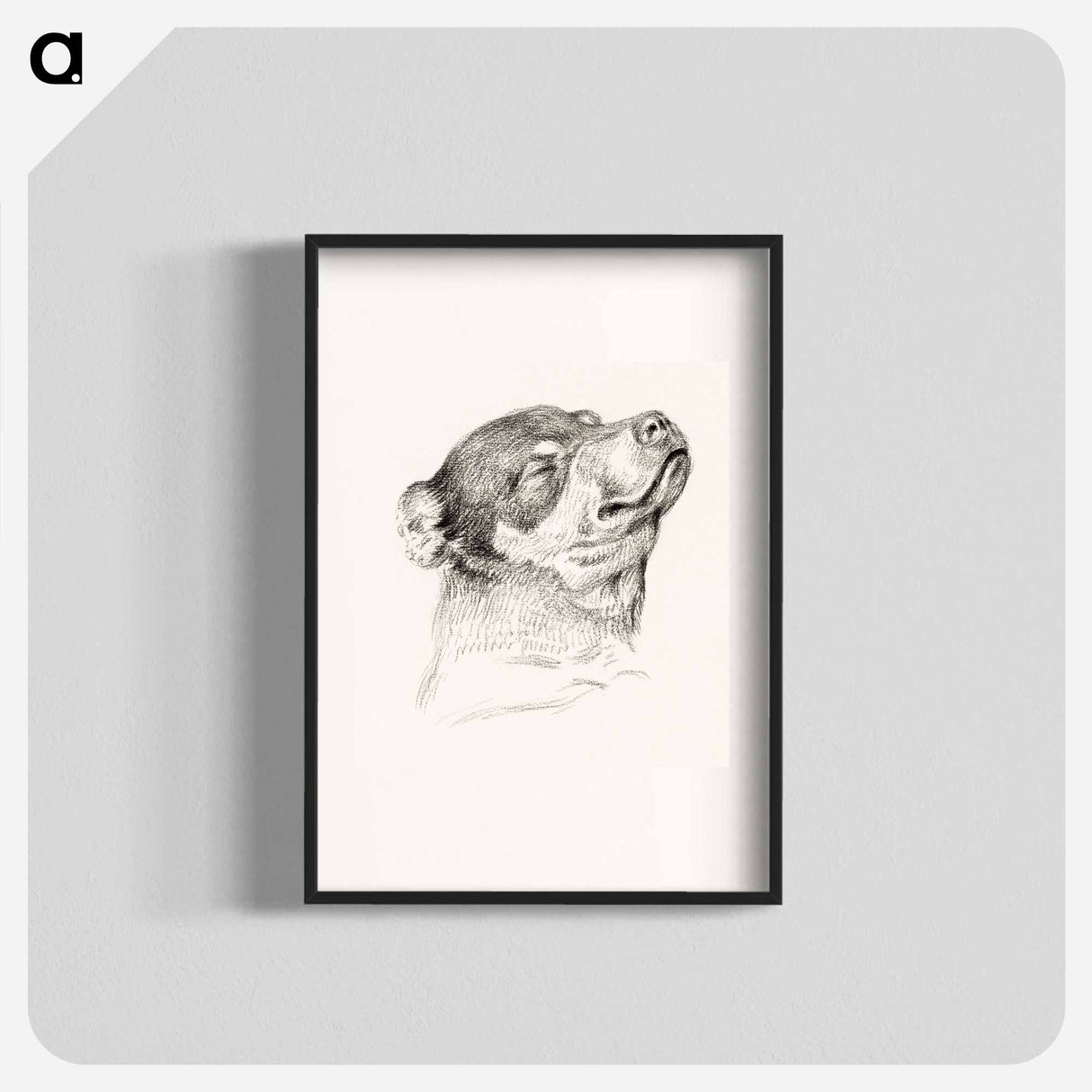 Head of a sleeping dog - ジャン ベルナール Poster.