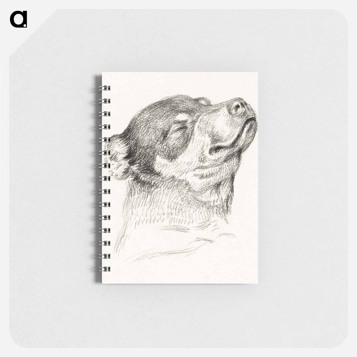 Head of a sleeping dog - ジャン ベルナール Memo.