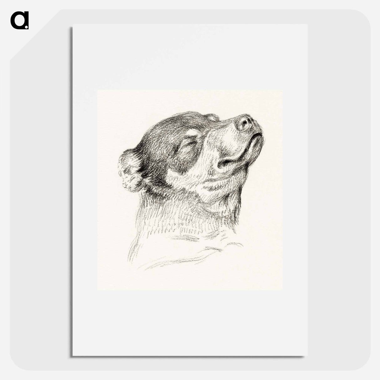 Head of a sleeping dog - ジャン ベルナール Poster.