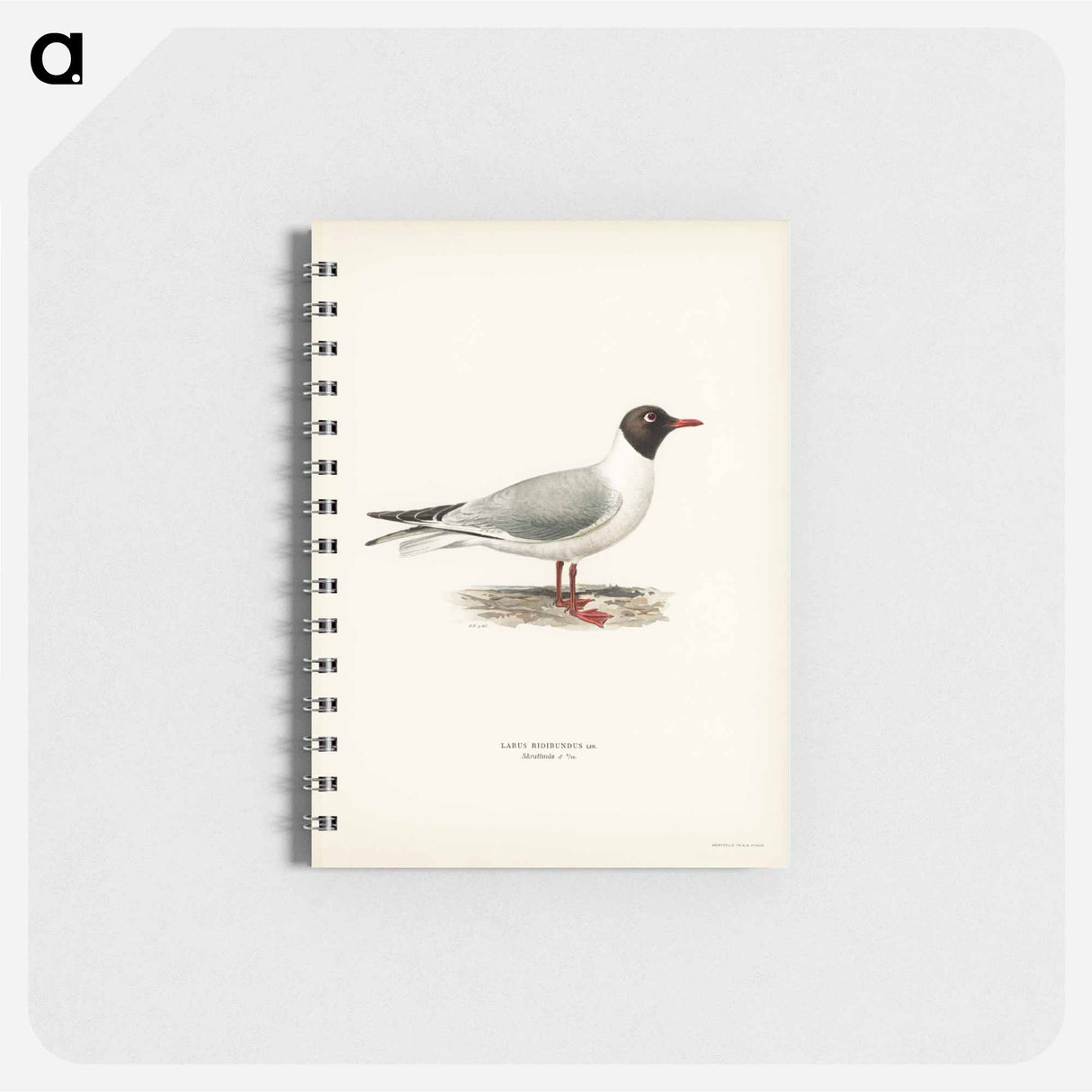 アートメモ帳-Black-Headed Gull
- スヴェンスカ フォグラル Memo.