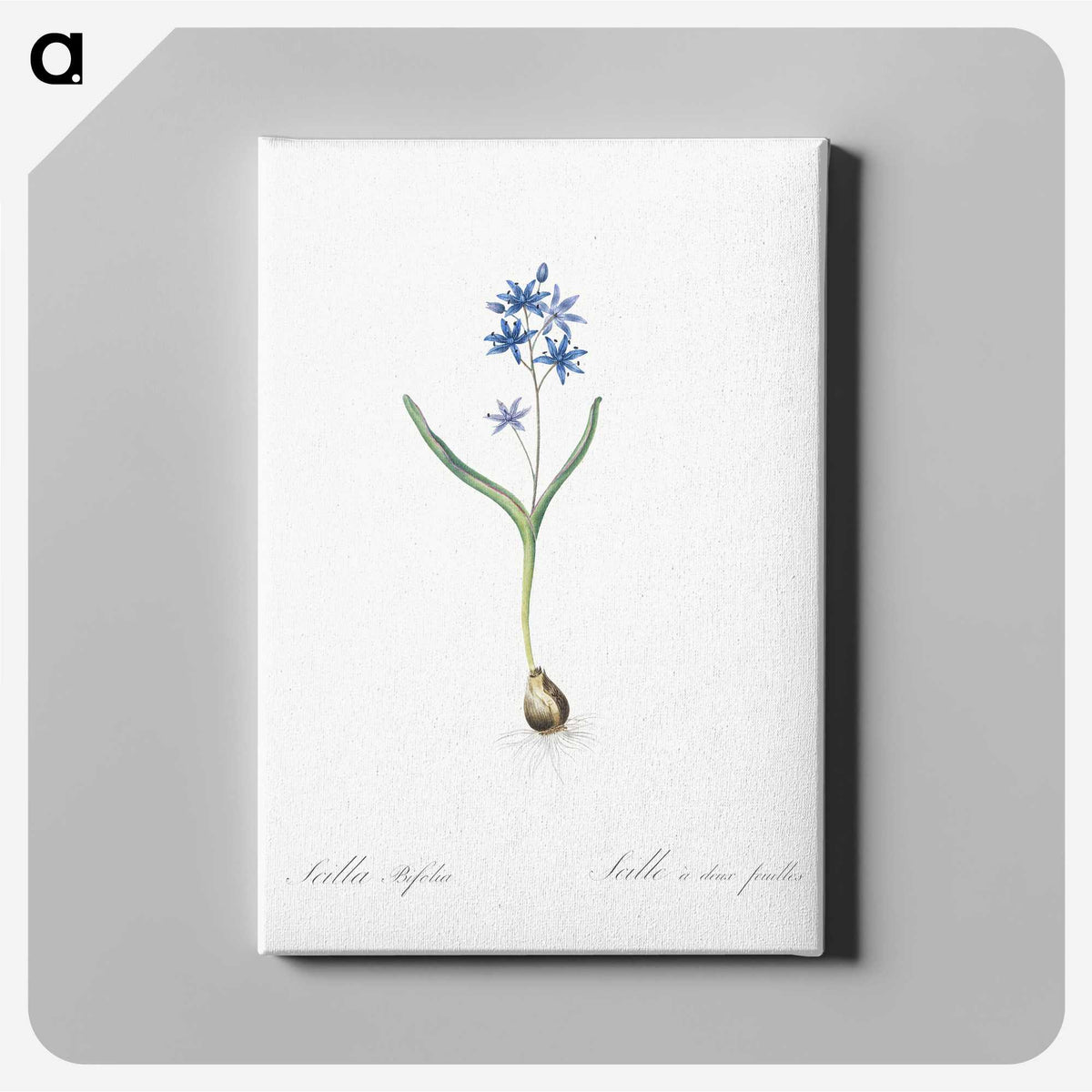 2-58_The-Lilies_canvas