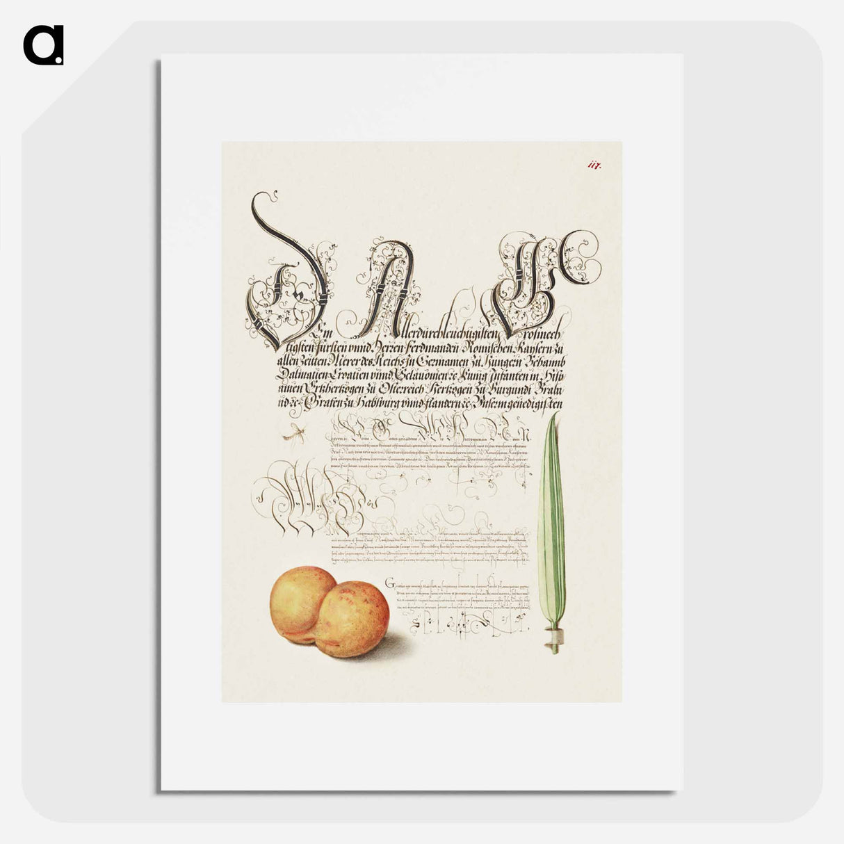 アートポスター-Mayfly, Apricot, and Reed Grass from Mira Calligraphiae Monumenta
- 書道のお手本 Poster.