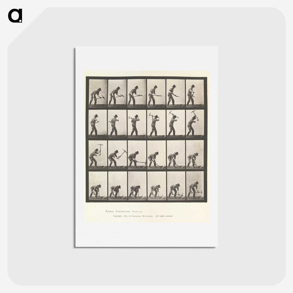2-59_Eadweard-Muybridge_hagaki