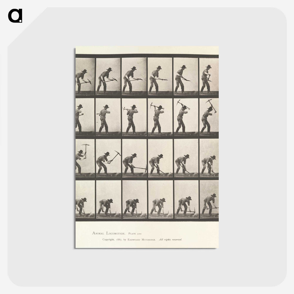 2-59_Eadweard-Muybridge_postcard