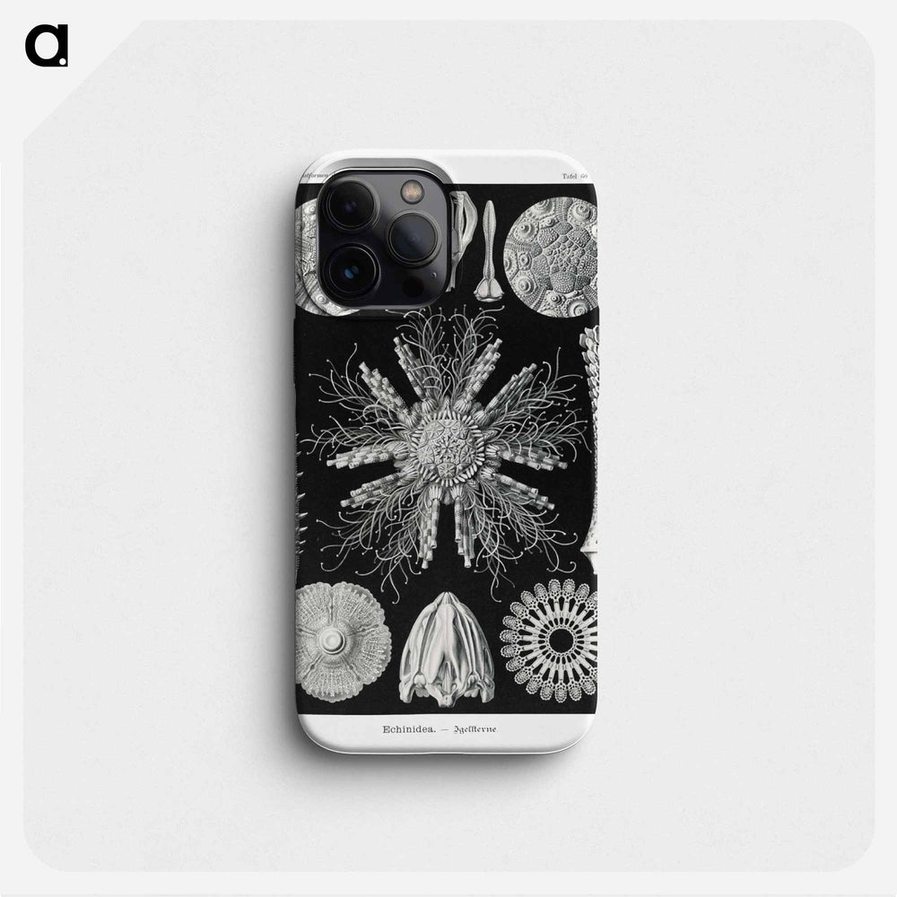 Echinidea–Igelsterne - エルンスト ヘッケル Phone Case.