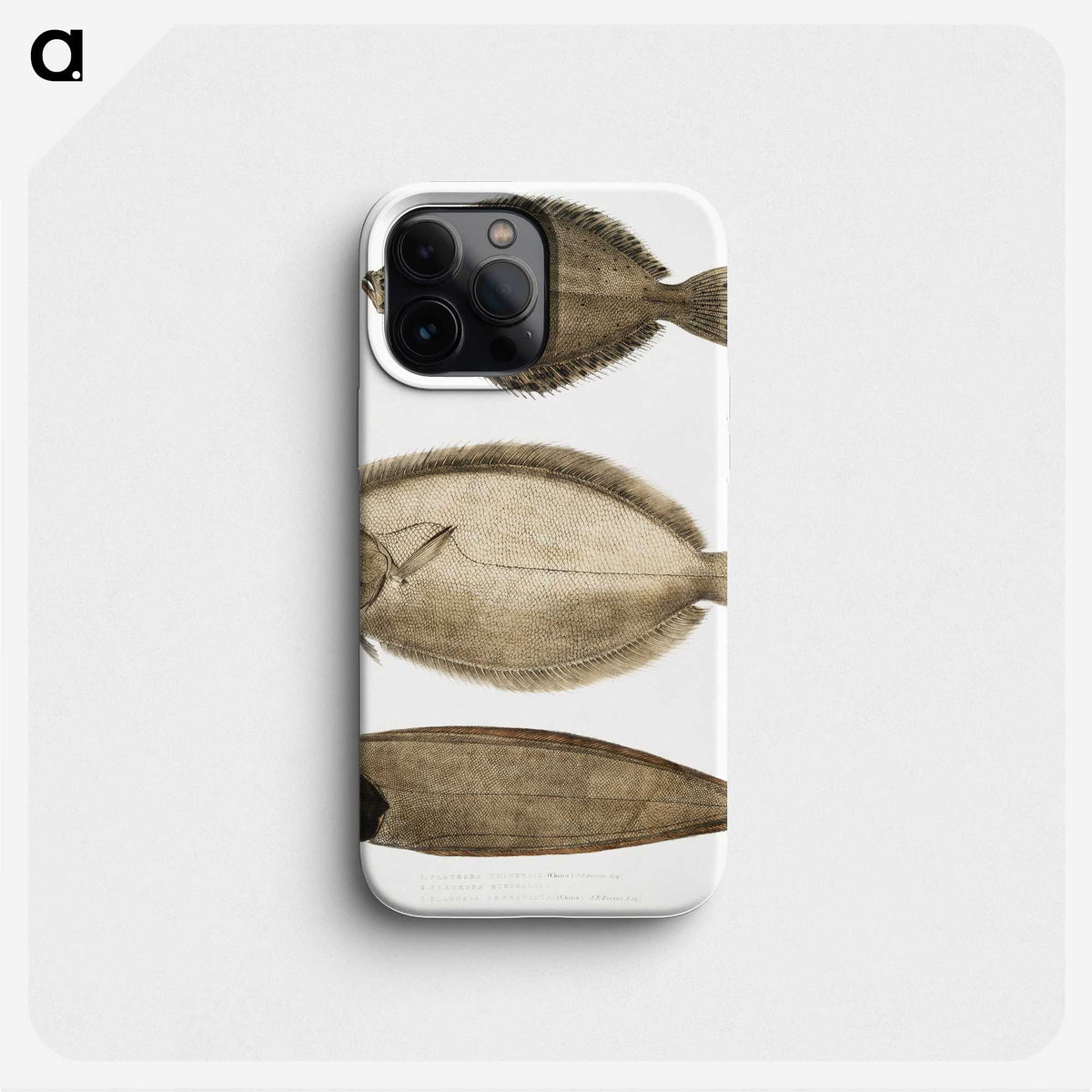 2-59_Indian-Zoology_phone
