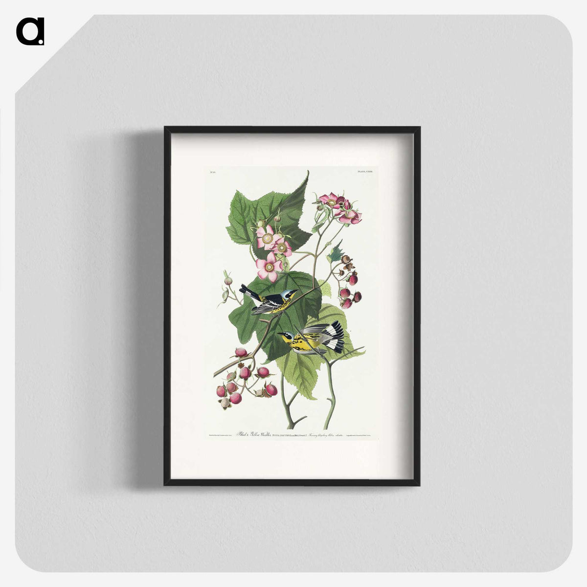 2-59_John-James-Audubon_blk