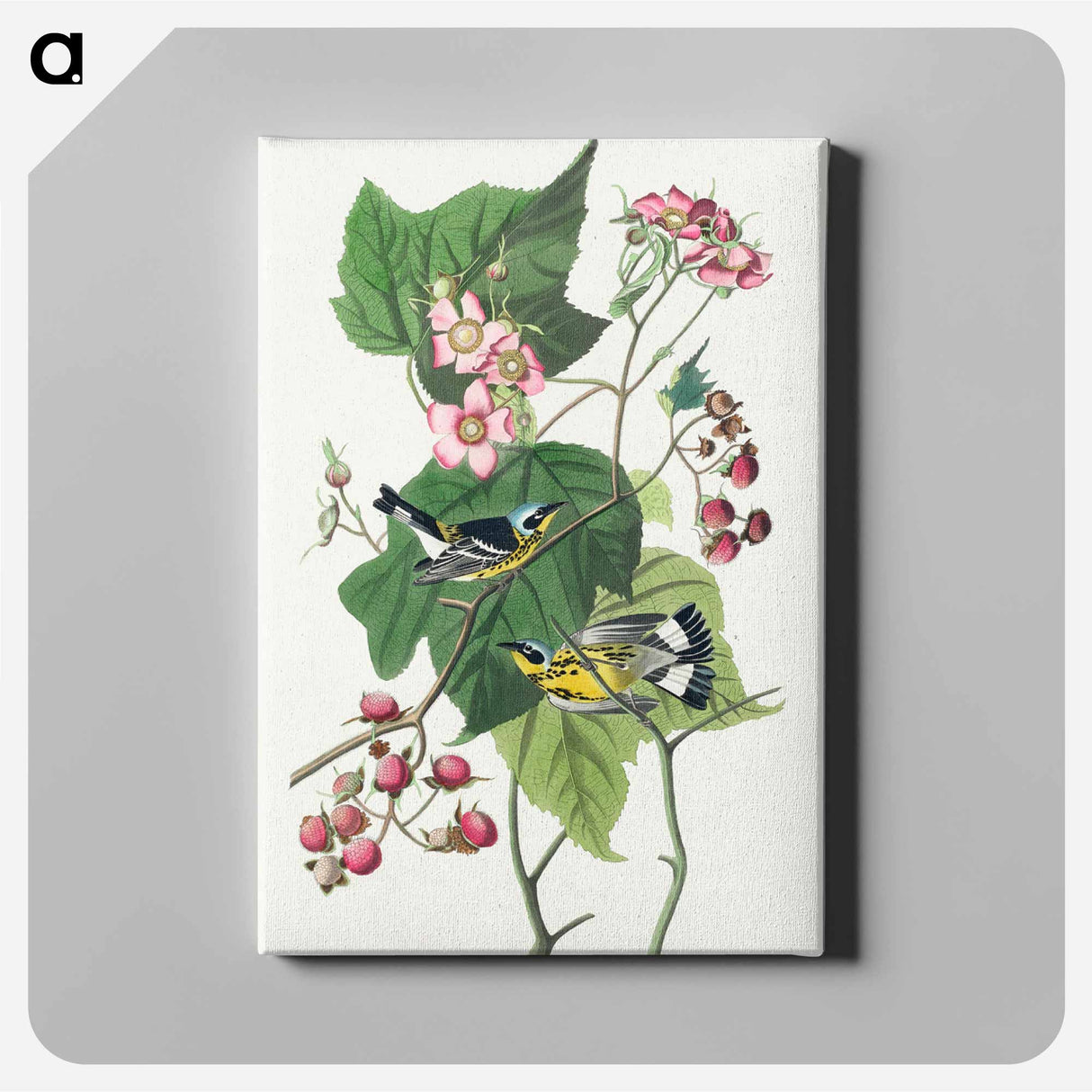 アートパネル-Black & Yellow Warblers
- ジョン ジェームス オーデュボン Canvas.