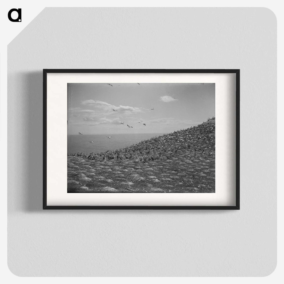 2-59_Leslie-Adkin_blk