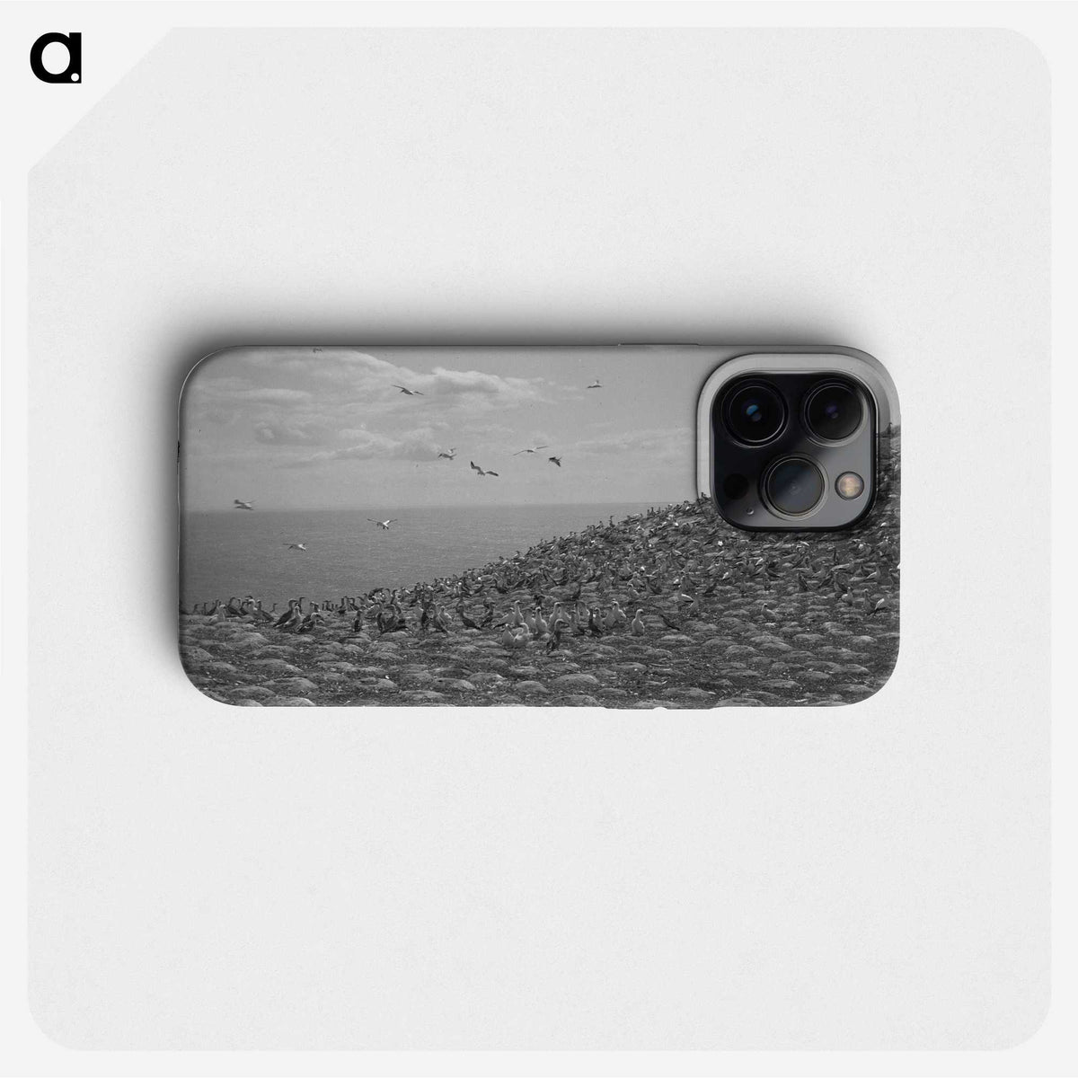 2-59_Leslie-Adkin_phone