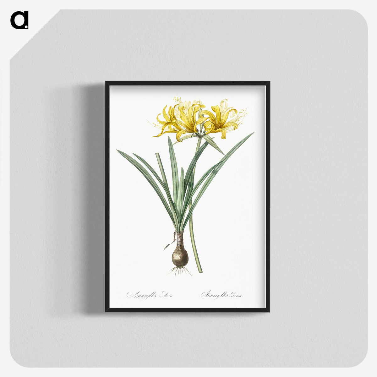 2-59_The-Lilies_blk-crop
