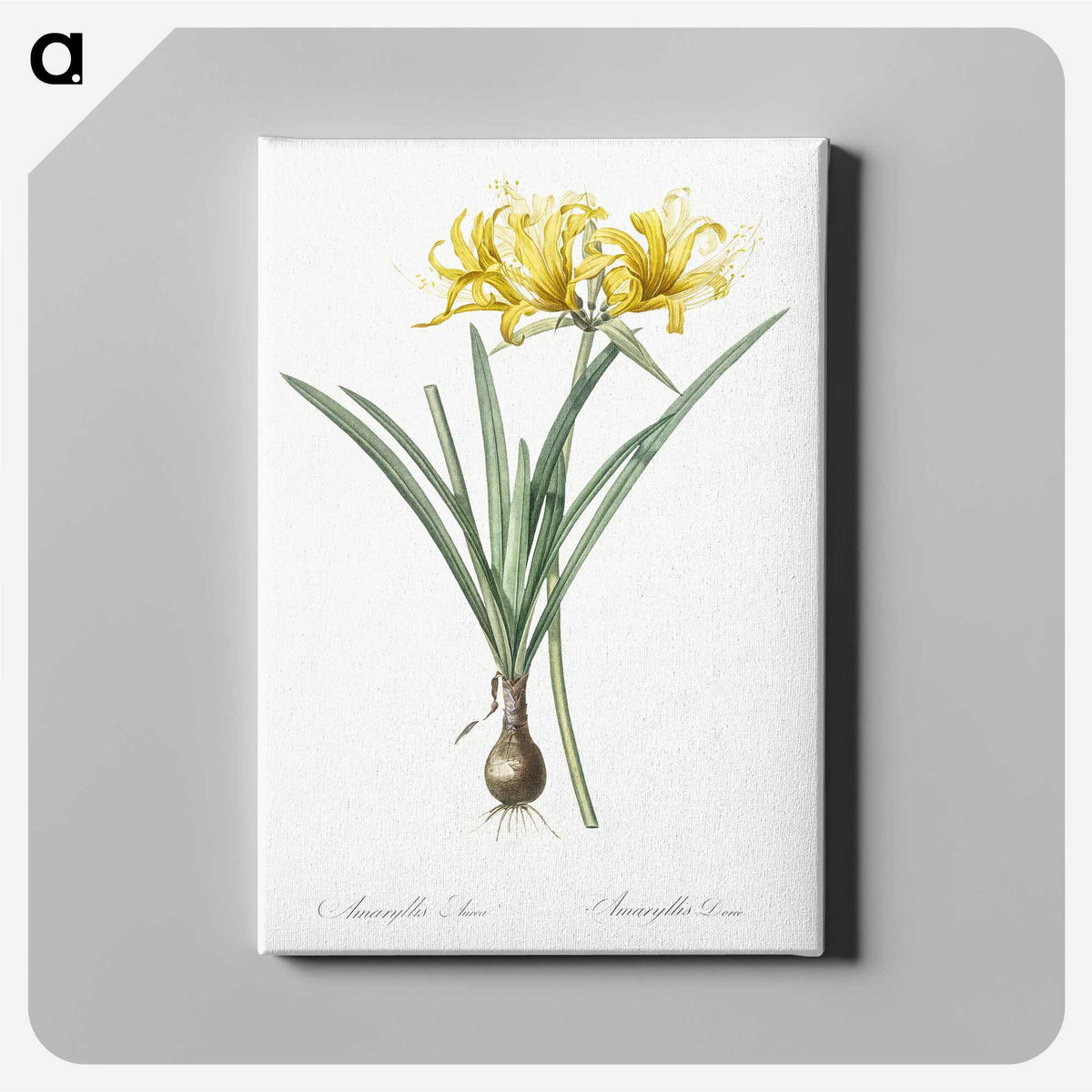 2-59_The-Lilies_canvas