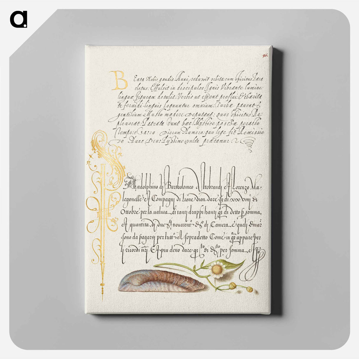 アートパネル-Noah's Ark Shell and Sneezewort from Mira Calligraphiae Monumenta
- 書道のお手本 Canvas.