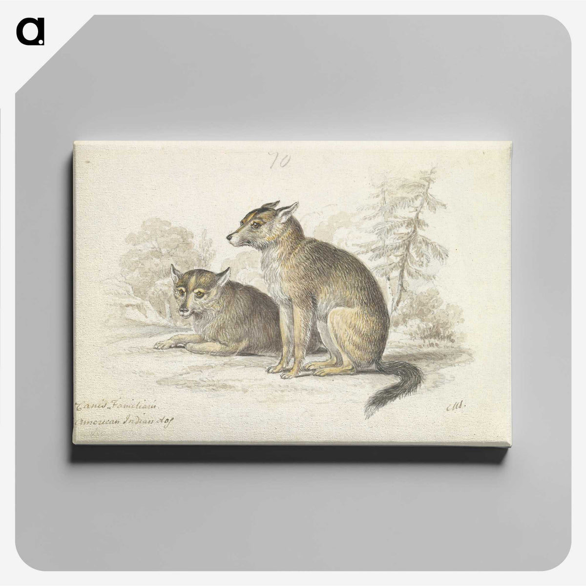 2-5_Charles-Hamilton-Smith_canvas