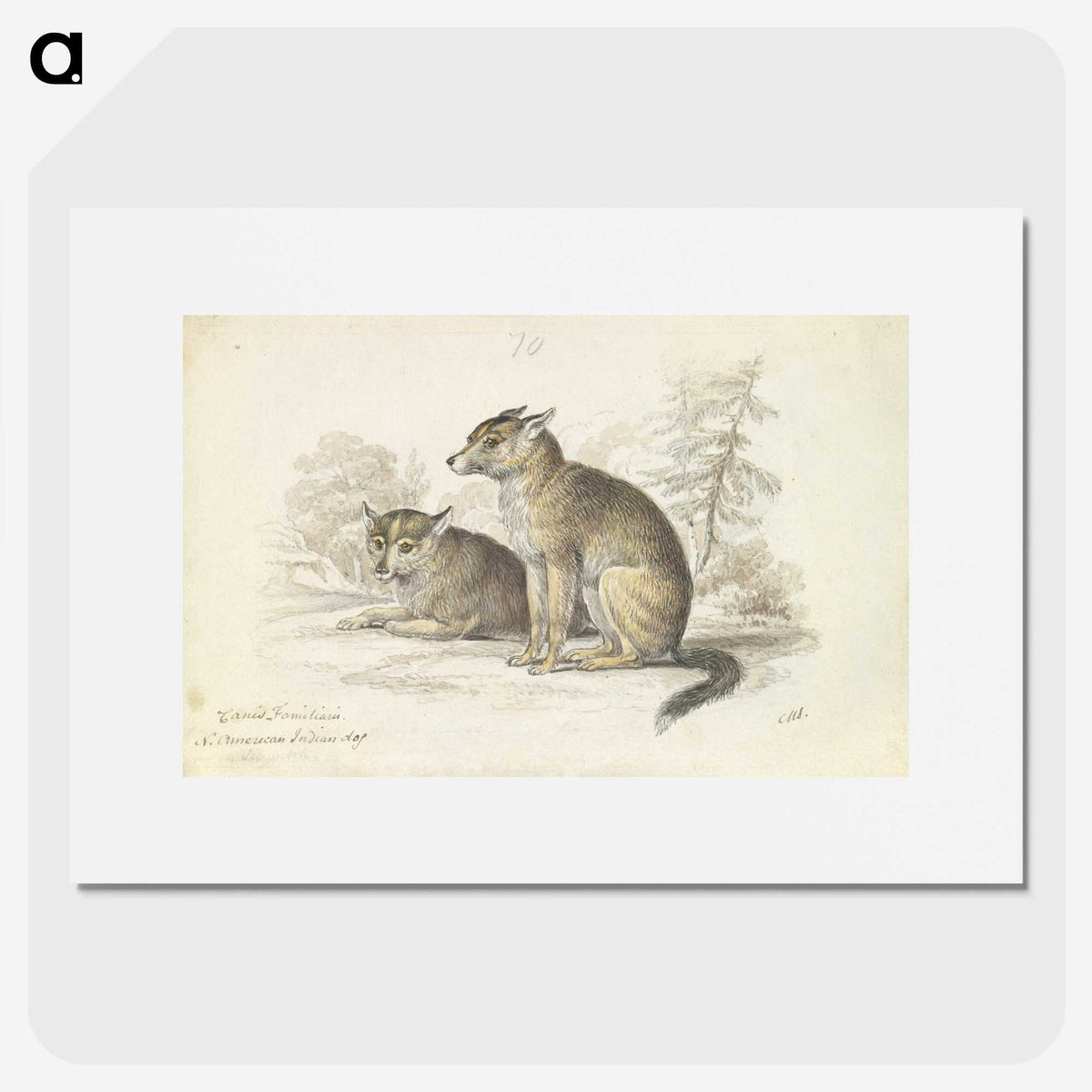2-5_Charles-Hamilton-Smith_picture
