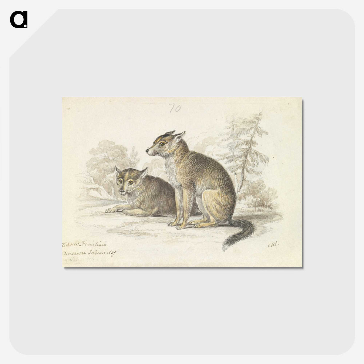2-5_Charles-Hamilton-Smith_postcard