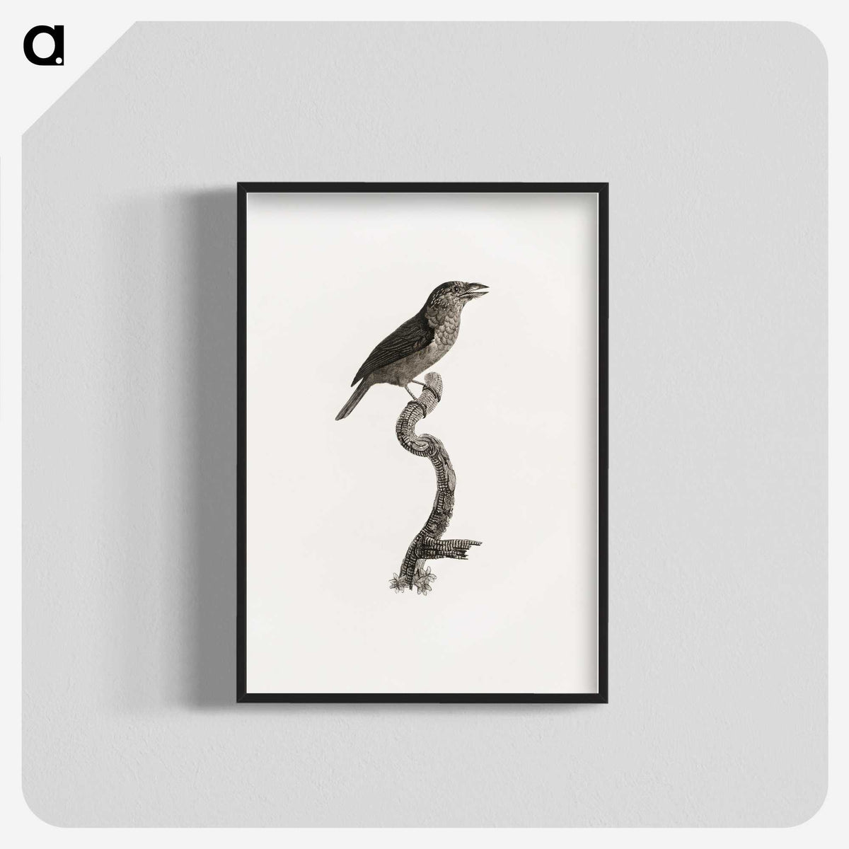 2-5_Des-Oiseaux-de-Paradis_blk-crop