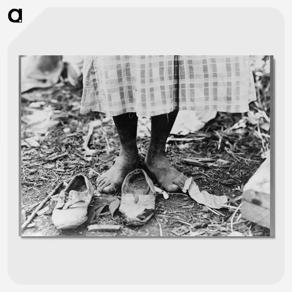 2-5_Dorothea-Lange_picture-crop