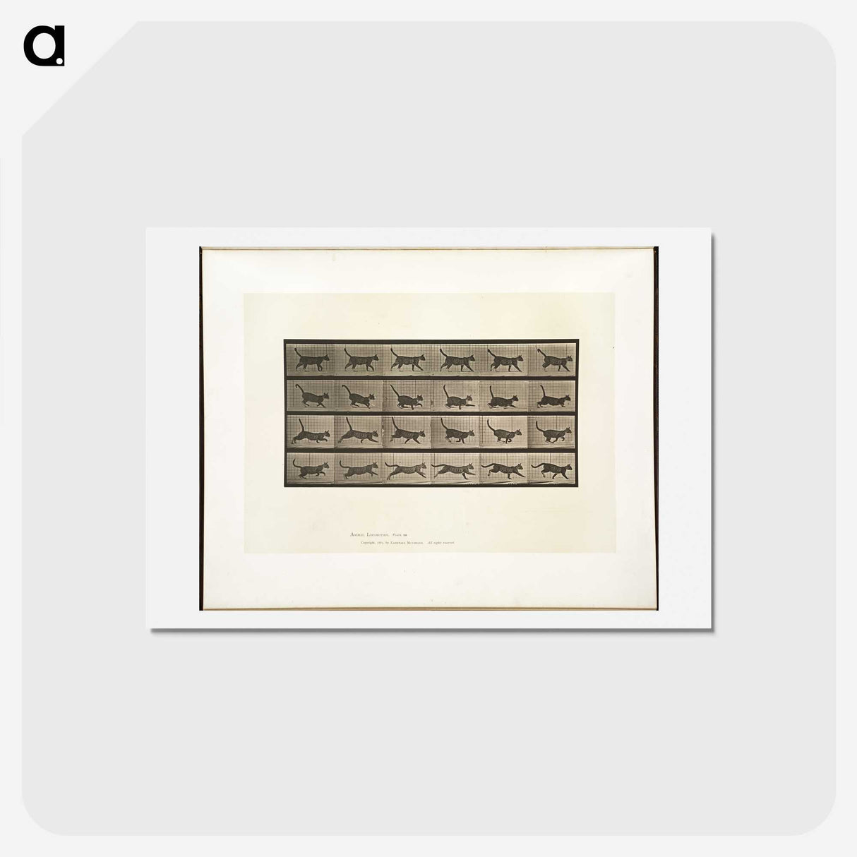 2-5_Eadweard-Muybridge_hagaki