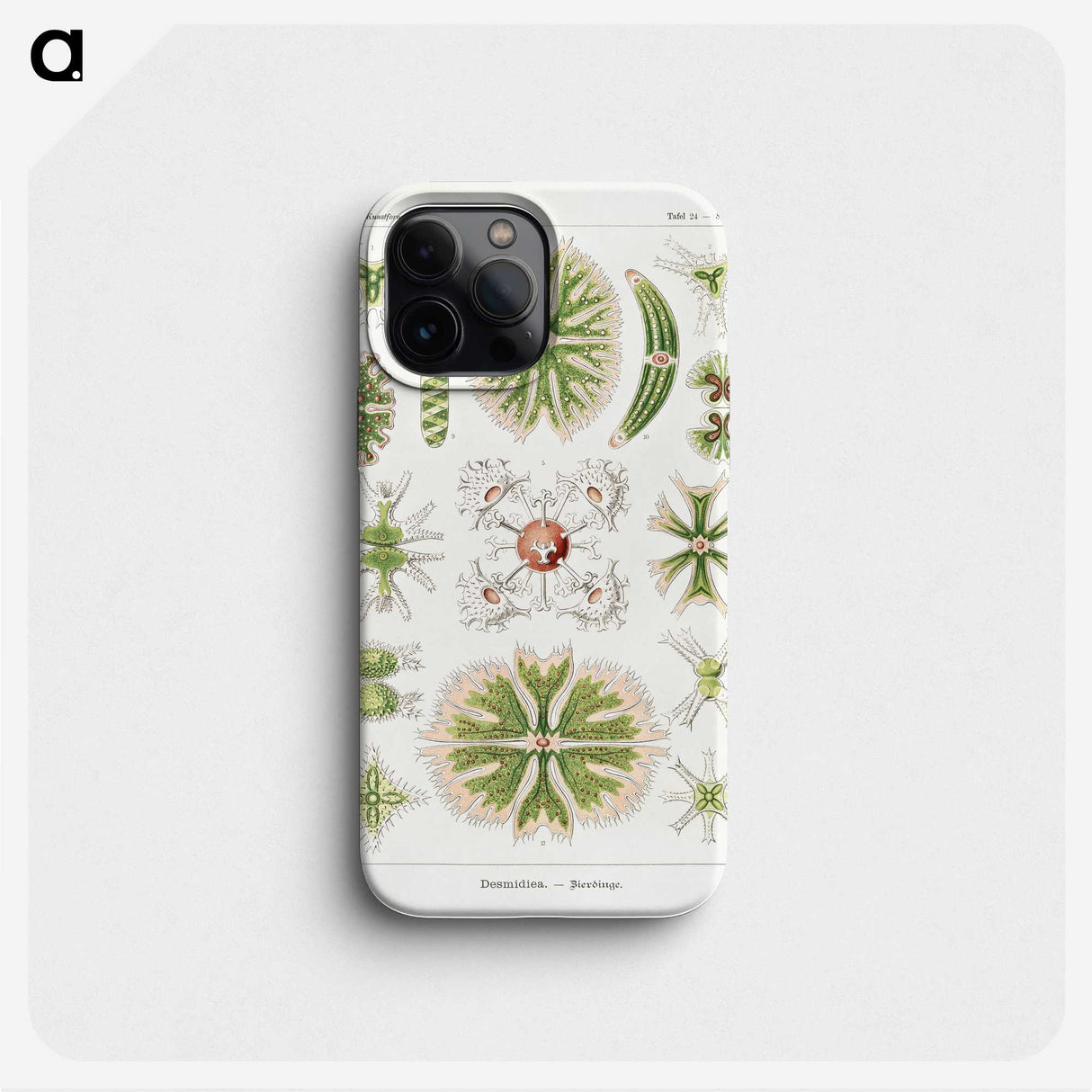 2-5_Ernst-Haeckel_phone