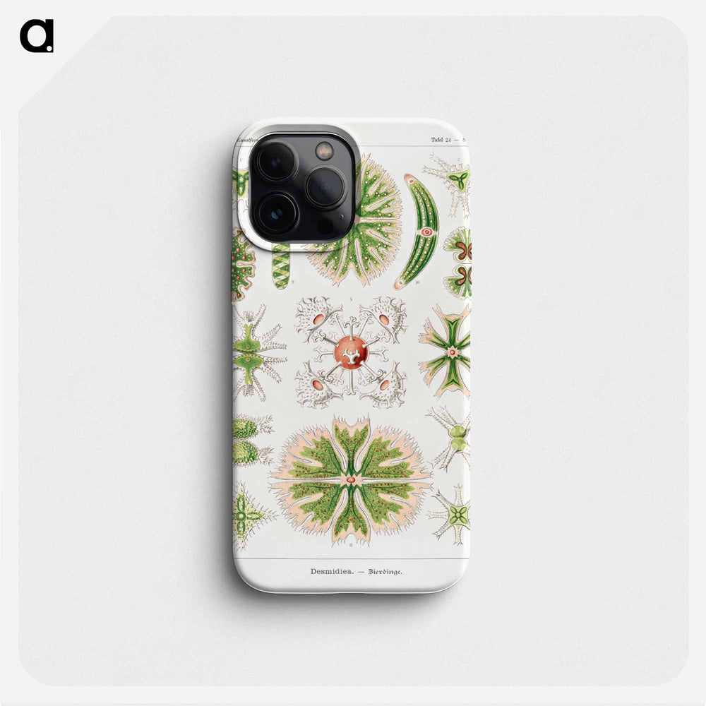 Desmidiea–Bierdinge from Kunstformen der Natur - エルンスト ヘッケル Phone Case.