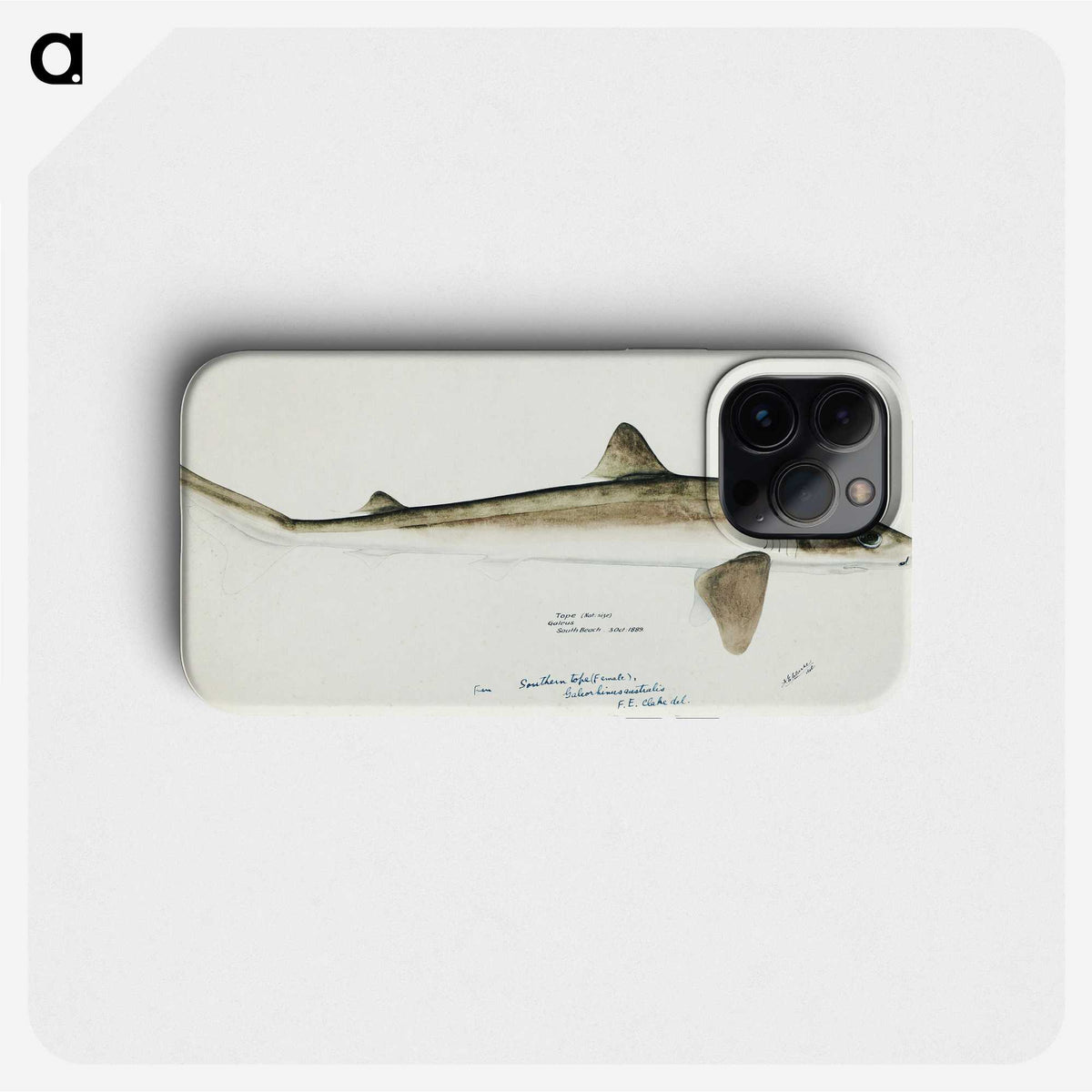 2-5_Frank-Edward-Clarke_phone