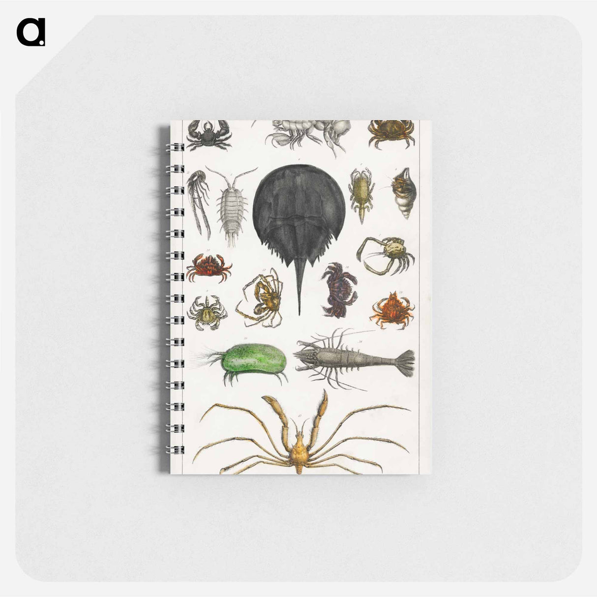 アートメモ帳-Arthropods from Goldsmith's Animated Nature
- ゴールドスミスの生き生きとした自然 Memo.