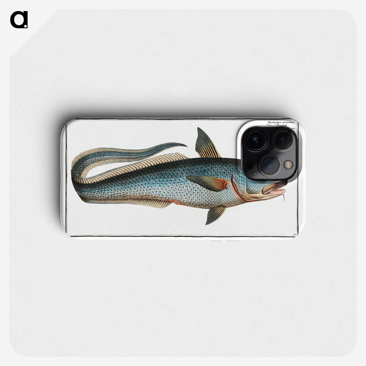 2-5_Ichtyologie-ou-Histoire-naturelle_phone