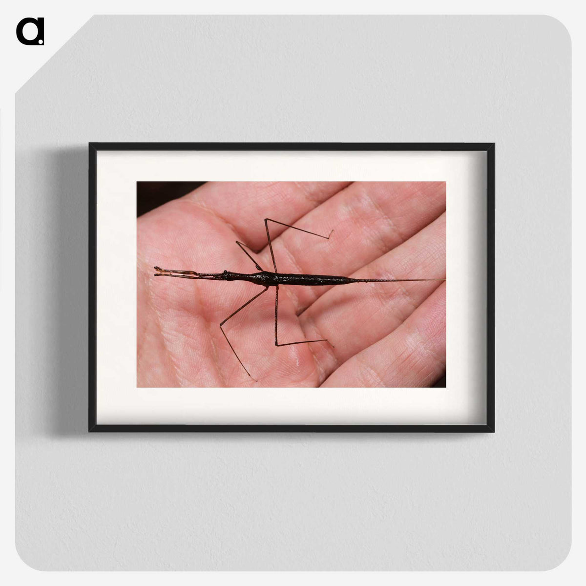 2-5_Insects-Unlocked-Project_blk