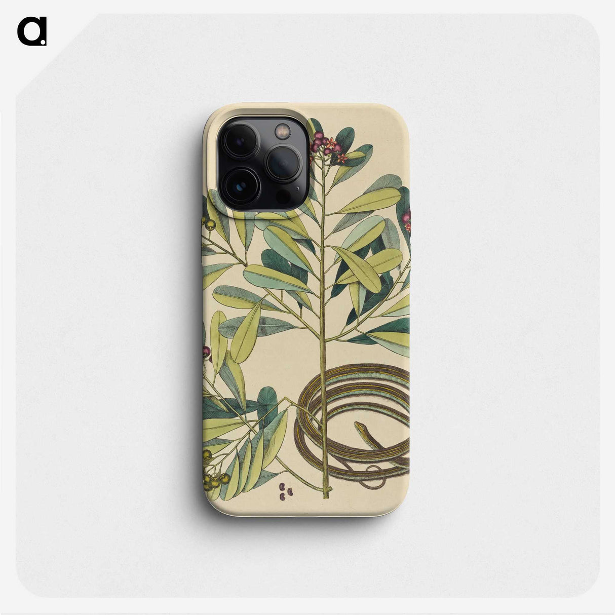 2-5_Mark-Catesby_phone