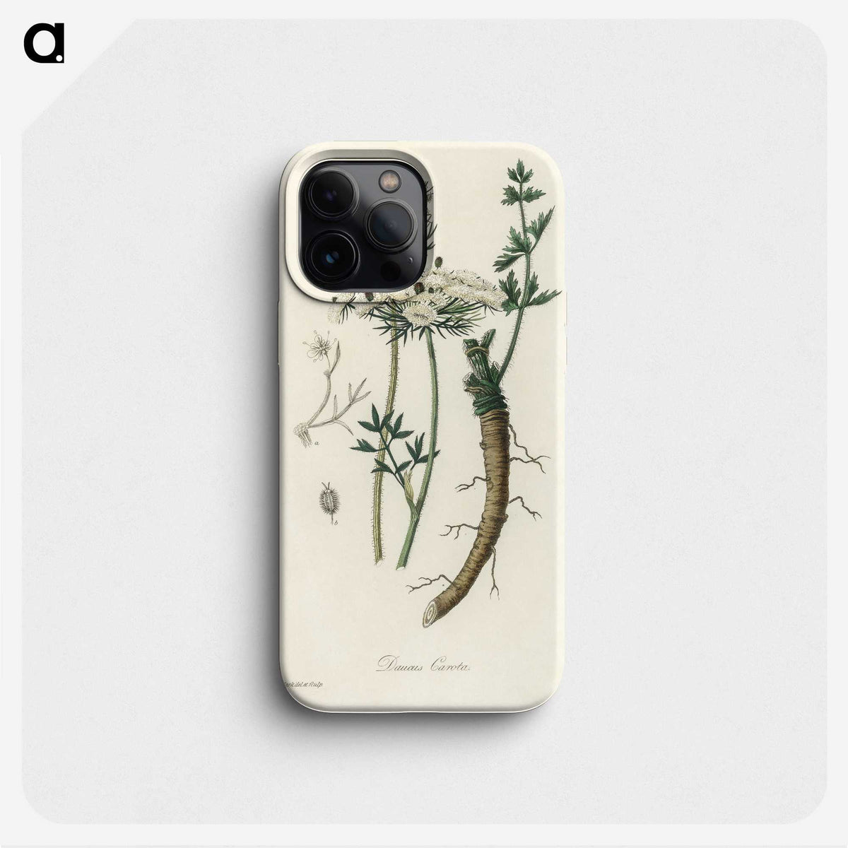 2-5_Medical-Botany_phone