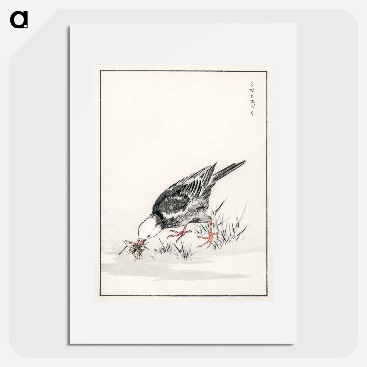 アートポスター-Brown-eared Bulbul Illustration
- 鳥類図鑑 Poster.