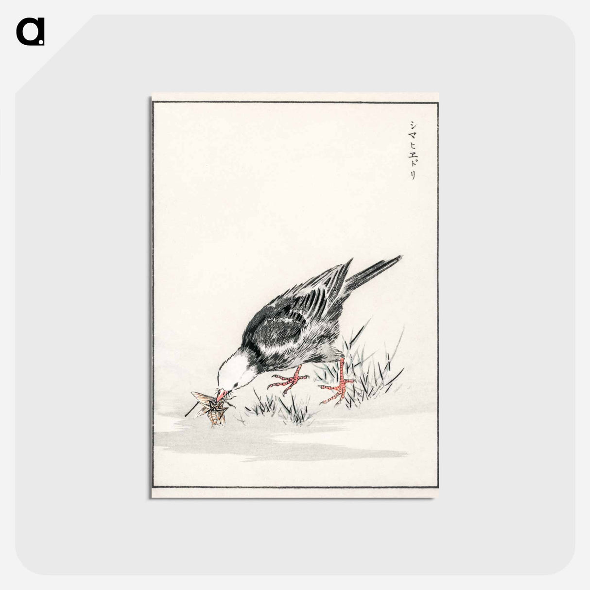 アートポストカード-Brown-eared Bulbul Illustration
- 鳥類図鑑 Postcard.