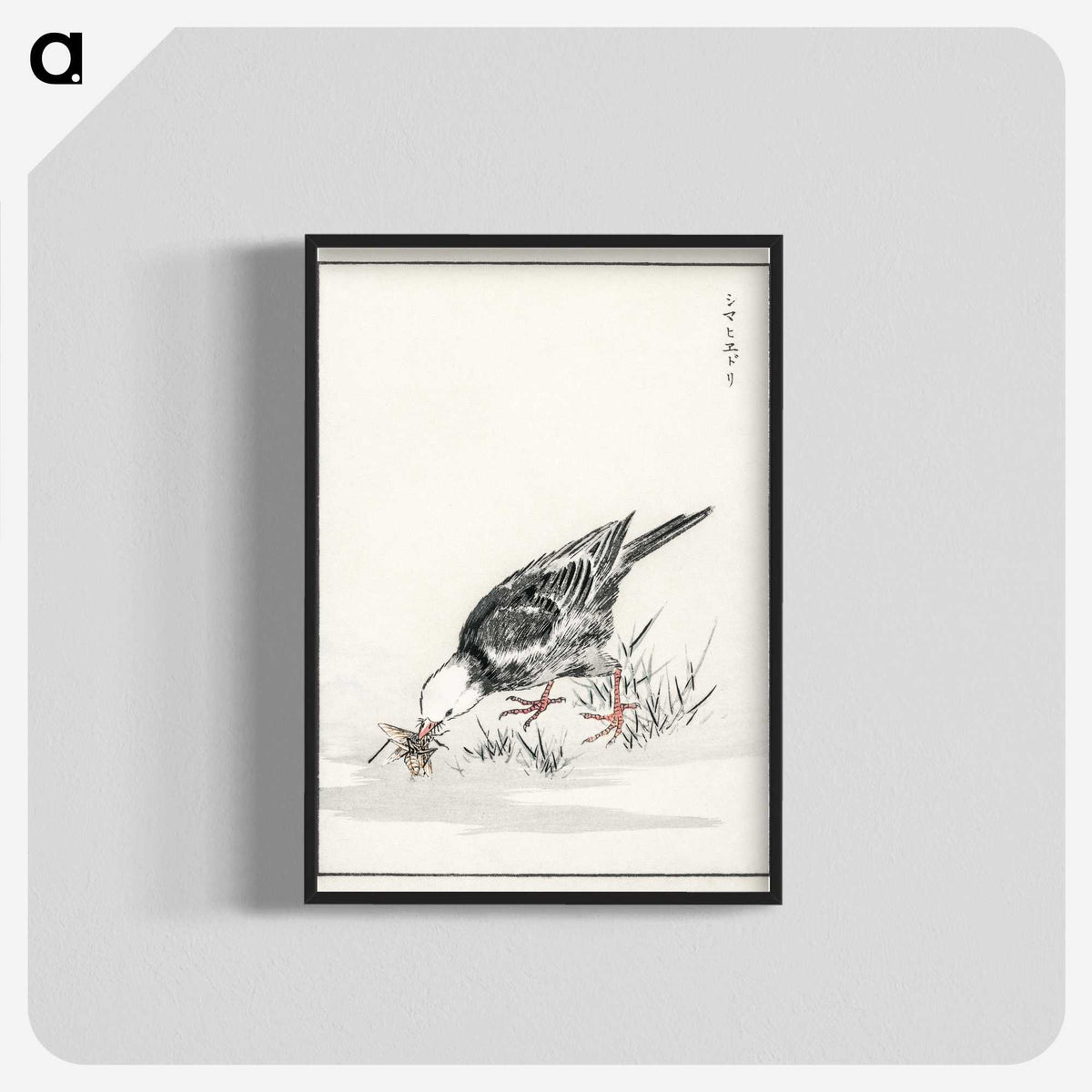 2-5_Pictorial-Monograph-of-Birds_blk-crop