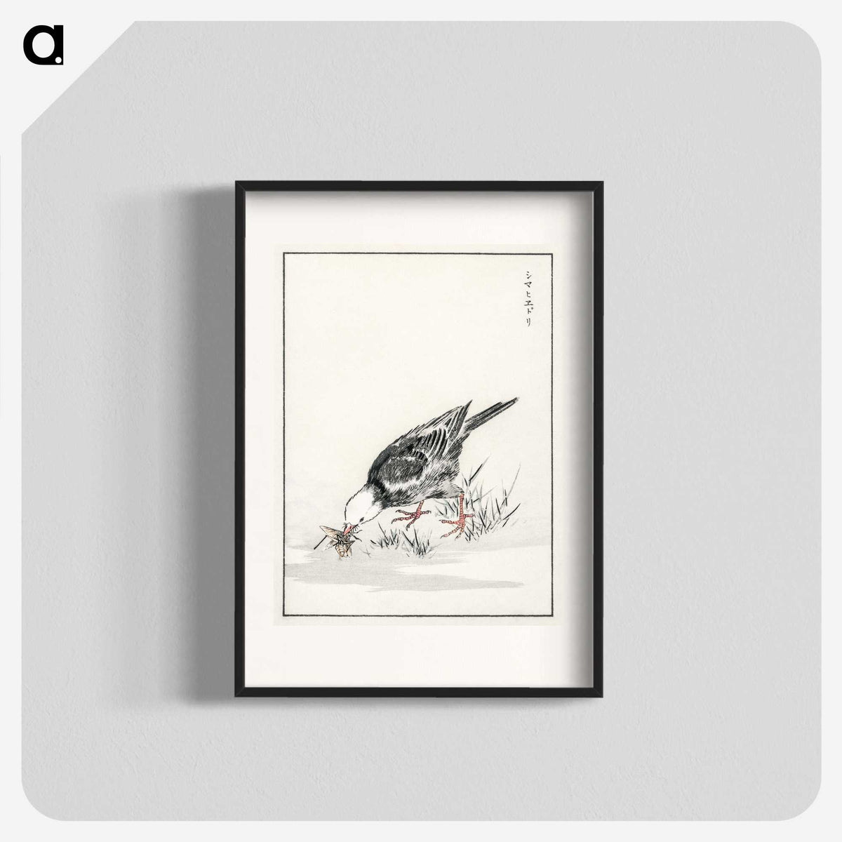 2-5_Pictorial-Monograph-of-Birds_blk