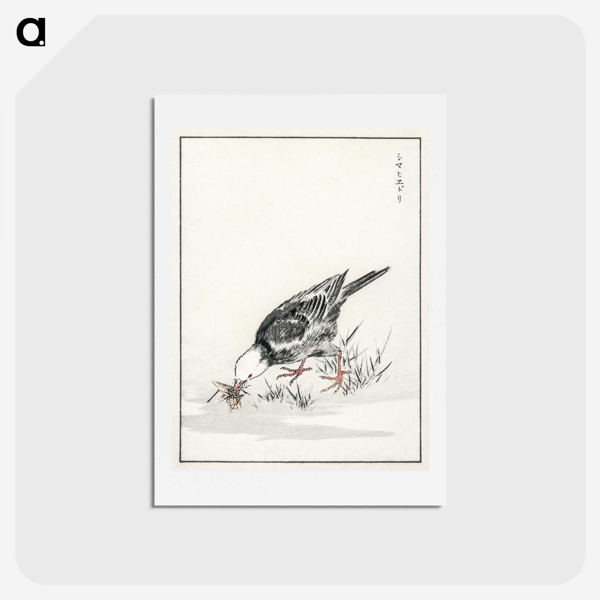2-5_Pictorial-Monograph-of-Birds_hagaki