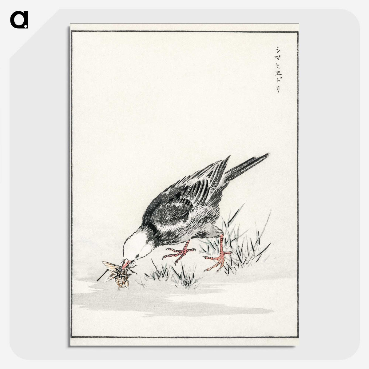 2-5_Pictorial-Monograph-of-Birds_picture-crop