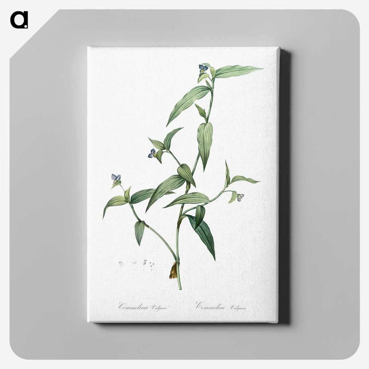 2-5_The-Lilies_canvas