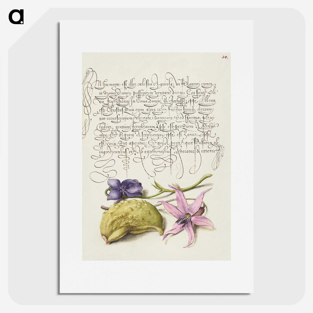 2-5_The-Model-Book-of-Calligraphy_picture