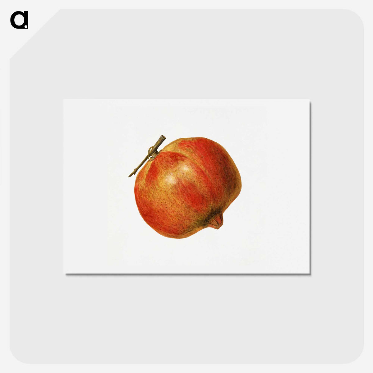 2-5_USDA-Watercolor-Fruit-Painting-Collection_hagaki