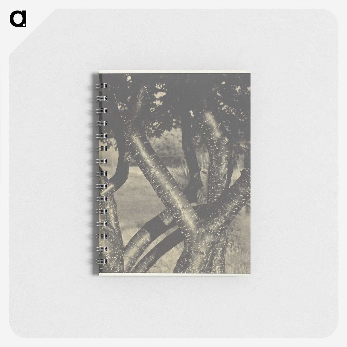 2-60_Alfred-Stieglitz_memo