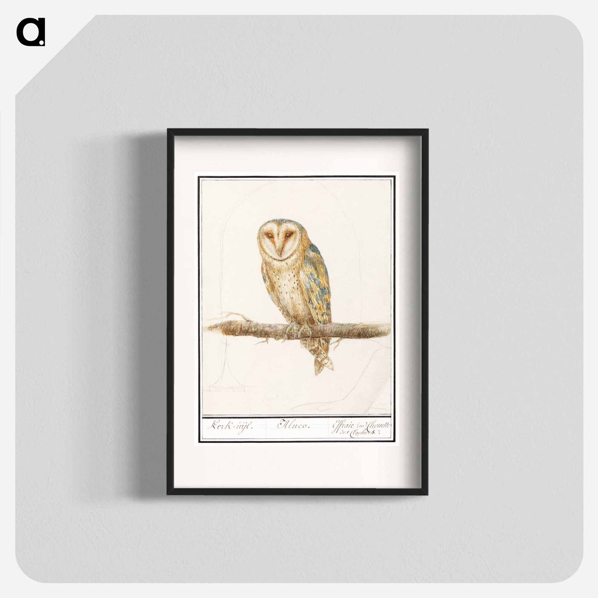 アートポスター-Barn Owl - アンセルムス ボエティウス デ ブート Poster.