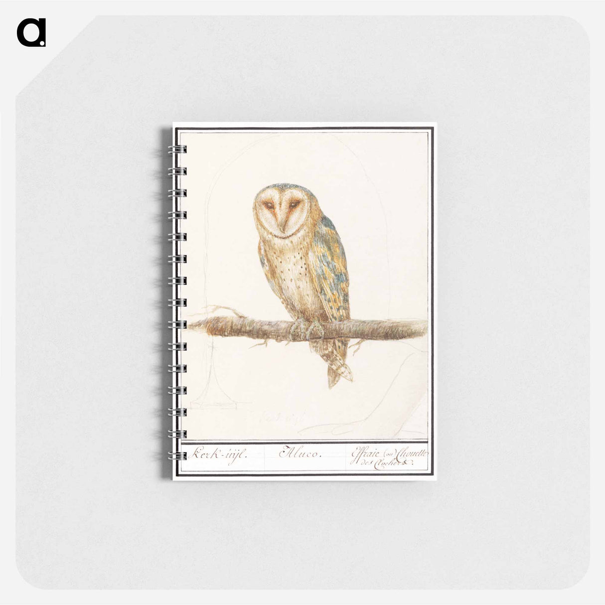 アートメモ帳-Barn Owl - アンセルムス ボエティウス デ ブート Memo.