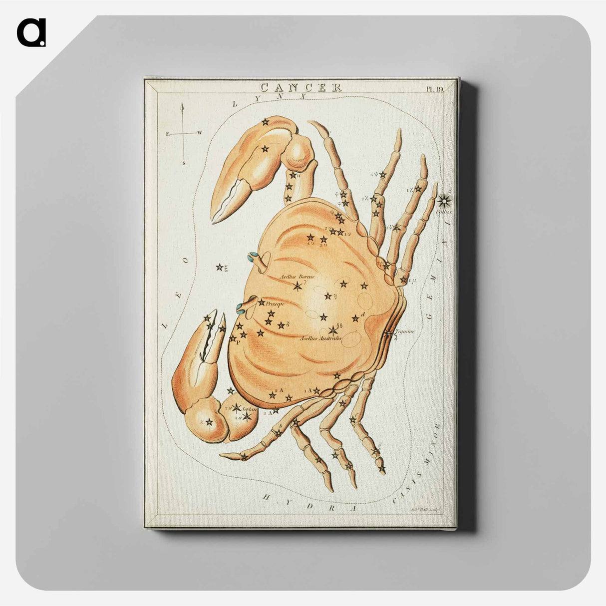 Sidney Hall’s astronomical chart illustration of the zodiac Cancer - アンティーク地図 Canvas.