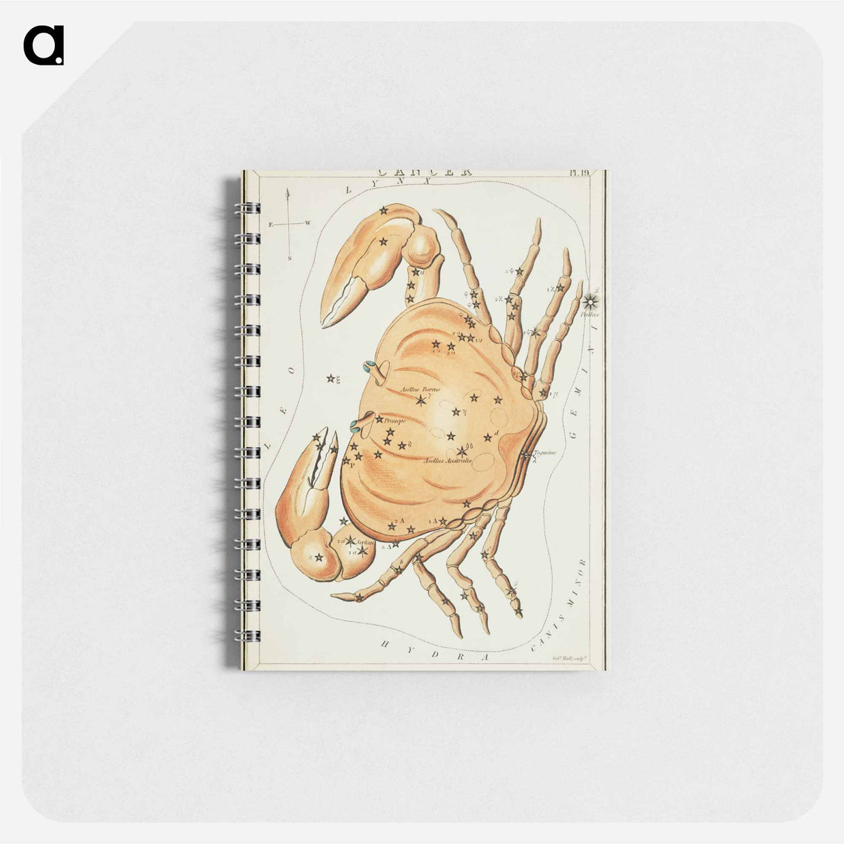 Sidney Hall’s astronomical chart illustration of the zodiac Cancer - アンティーク地図 Memo.