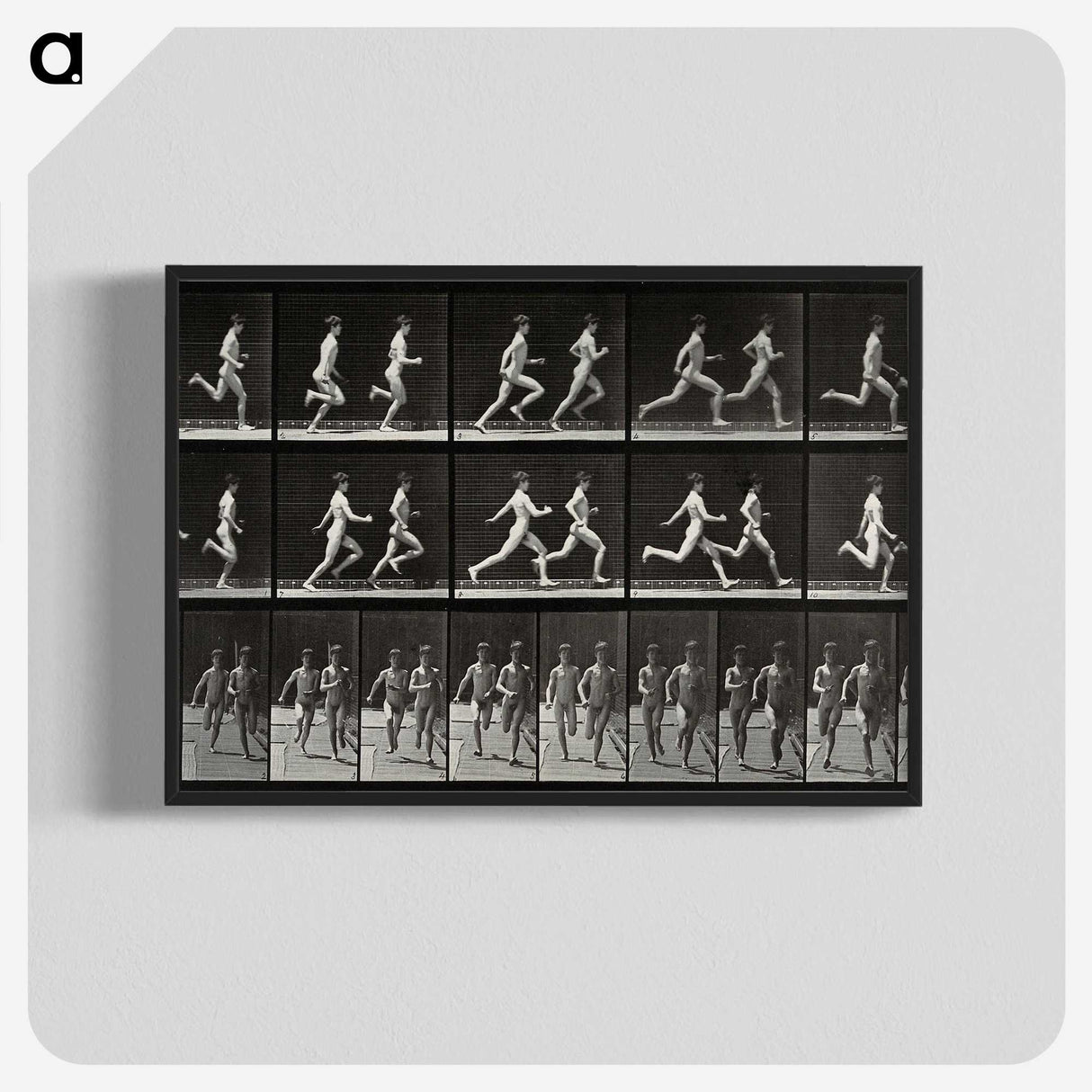 2-60_Eadweard-Muybridge_blk-crop